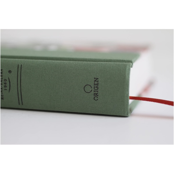 Biblia RVR1960 Lt Grande Manual Tapa Dura Verde 10.5pt - Image 10