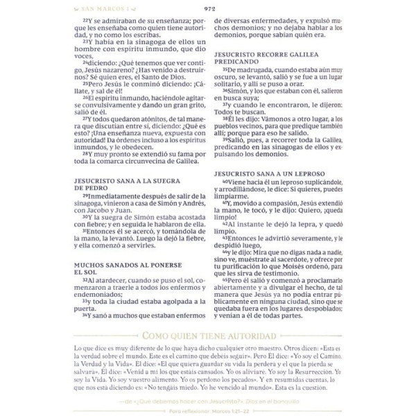 Biblia Rvr1960 Reflexiones C. S. Lewis Tapa Dura Dos Colores - Image 6