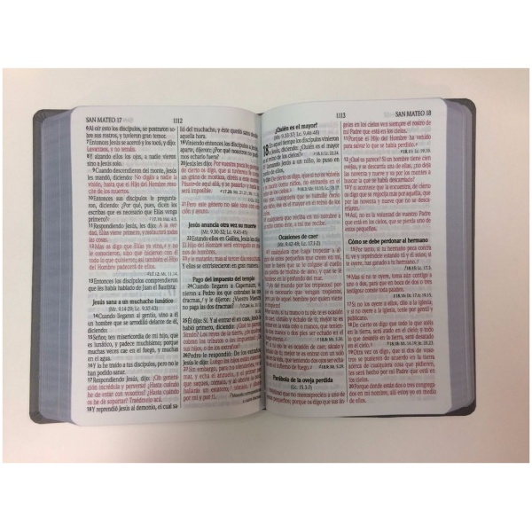 Biblia Reina Valera 1960 Mediana Letra Grande Color Gris - Image 2
