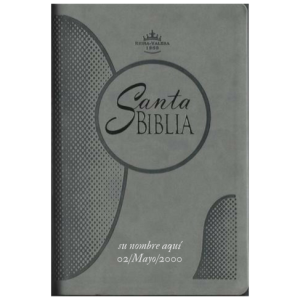 Biblia Reina Valera 1960 Mediana Letra Grande Color Gris