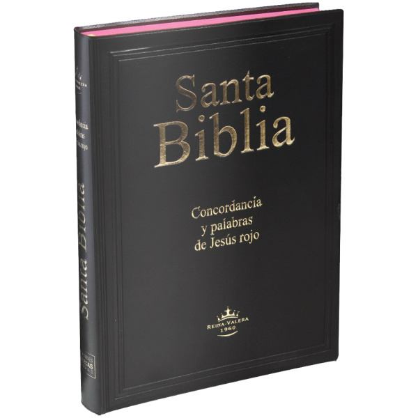 Biblia RVR60 grande vinil negro RVR082CLGIPJR