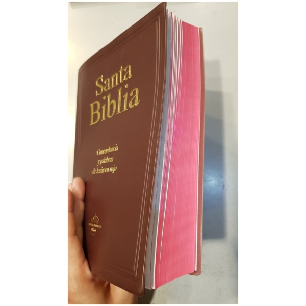 Biblia Rvr1960 Concordancia Letra Gigante Color Vino - Image 2