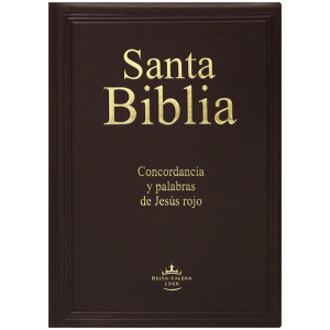 Biblia Rvr1960 Concordancia Letra Gigante Color Vino