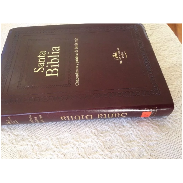 Biblia RVR60 relieve lujo color cafe RVR086clGIPJR - Image 2
