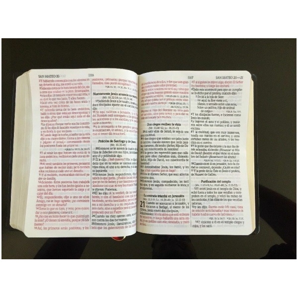 Biblia RVR60 Let Gigante PJR Imit Piel Negra - Image 4