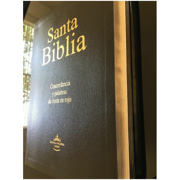 Biblia RVR60 Let Gigante PJR Imit Piel Negra