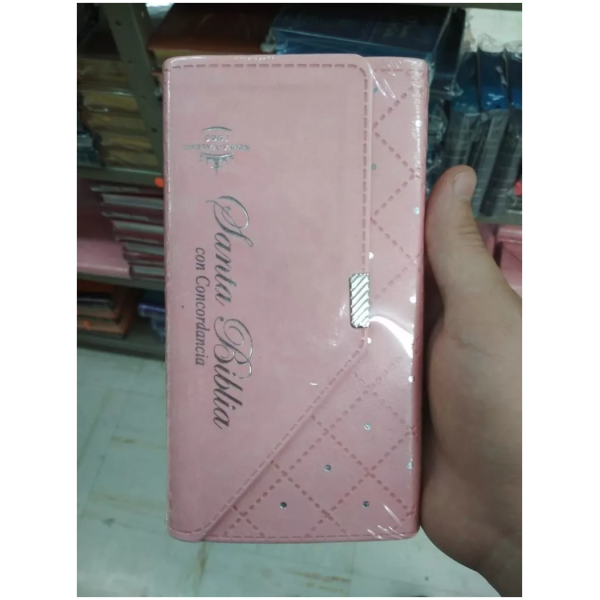 Biblia Rvr1960 Agenda Rosa Claro Con Broche