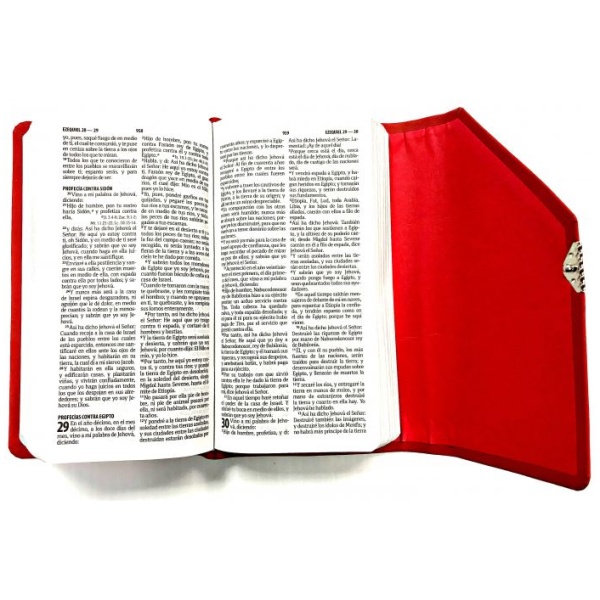Biblia Rvr1960 Agenda Roja Con Broche - Image 5