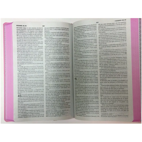 Biblia Económica Rvr1960, Imit. Piel Color Rosa - Image 2