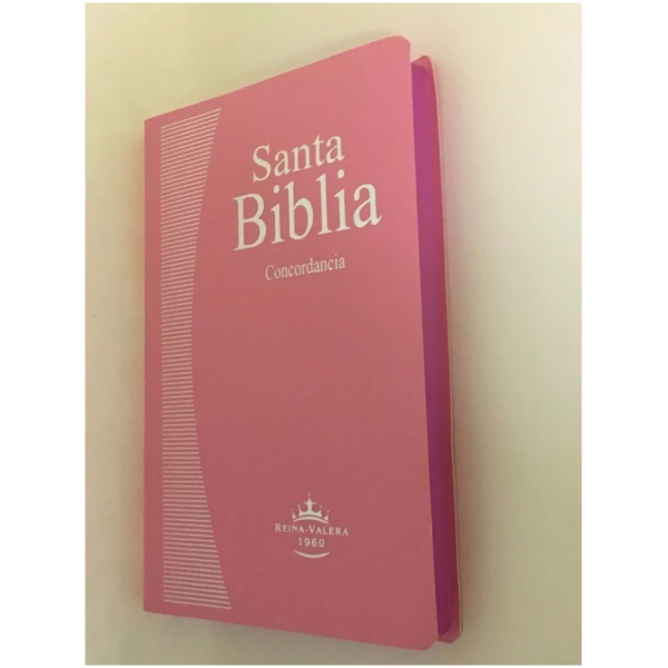 Biblia Económica Rvr1960, Imit. Piel Color Rosa
