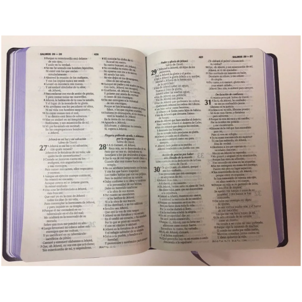 Biblia Económica Manual Rvr1960 Imitación Piel Color Morado - Image 3