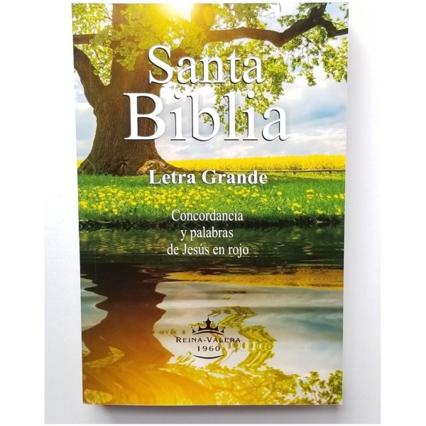 Biblia RVR 1960 rústica letra grande palabrasde Jesús en roj