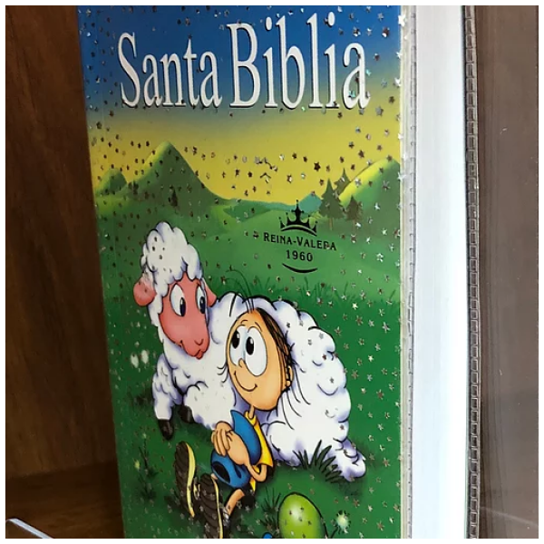 Biblia RVR60 040e Misionera azul niño - Image 2