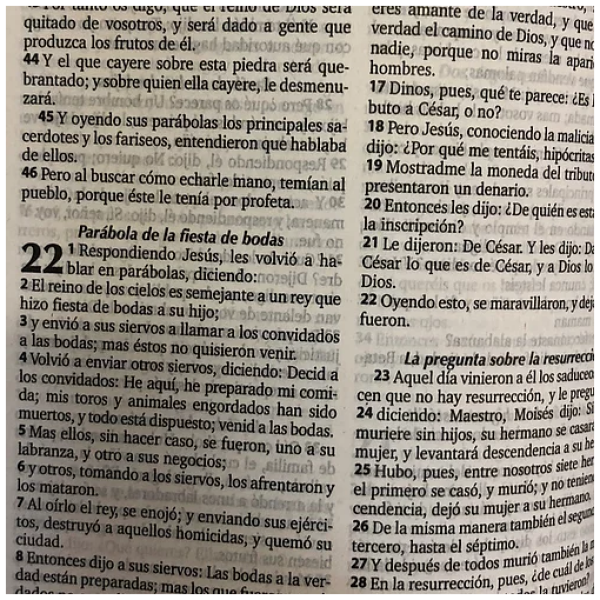 Biblia RVR60 040e Misionera azul niño - Image 3