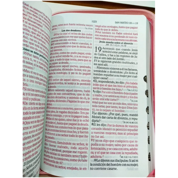 Biblia RVR60 L Grande Cierre im Piel Rosa RVR056CLGPJRZTI - Image 4