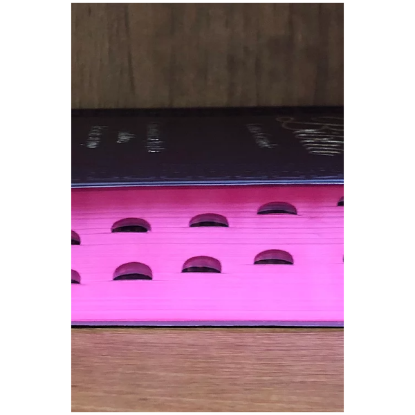 Biblia RVR60 Vinil Vino Indice Corcordancia - Image 2
