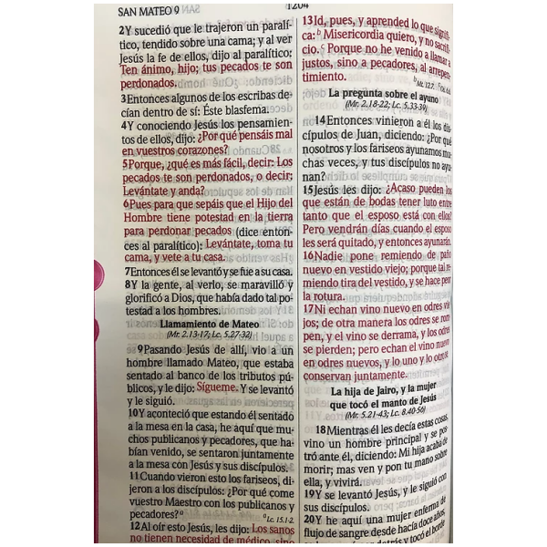 Biblia RVR60 Vinil Vino Indice Corcordancia - Image 3