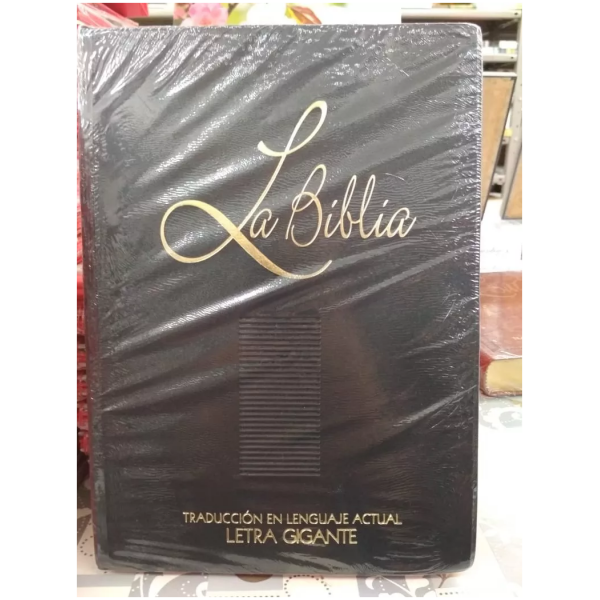 Biblia Grande Letra Gigante Tla Vinil Negro
