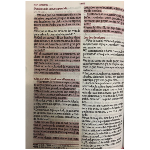 Biblia RVR60 Quinceañera imit. piel rosa cierre índice fuent - Image 5