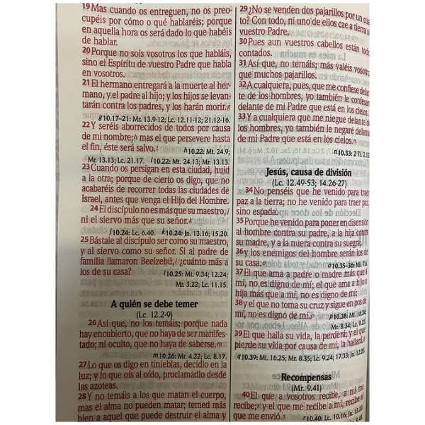 Biblia RVR60 Letra gigante imit piel rosa canto floral - Image 3