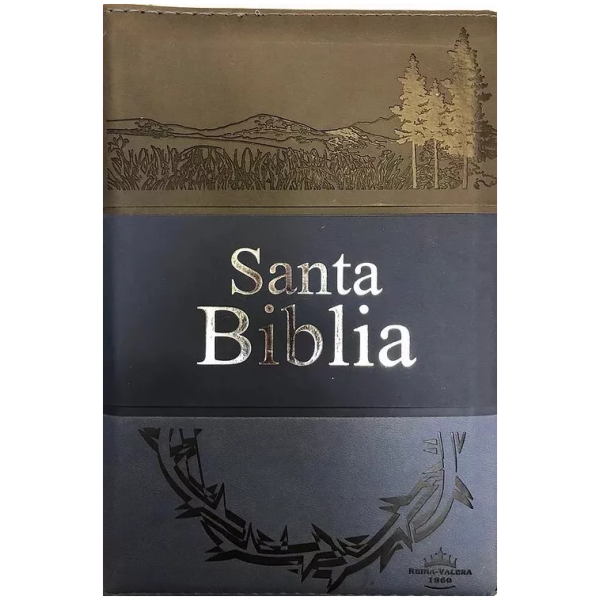Biblia RVR60 Gris Azul Marino Cierre índice