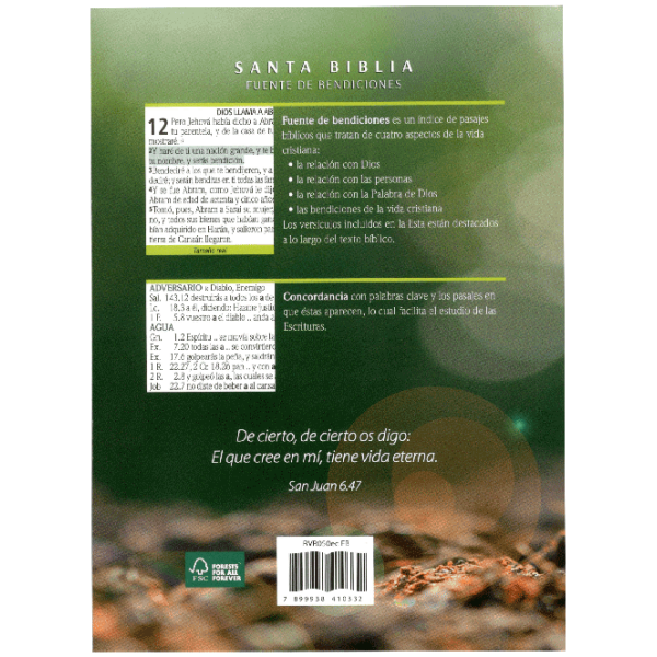 Biblia RVR60 Misionera Rustica Económica Fuente de Bendiciones - Image 2