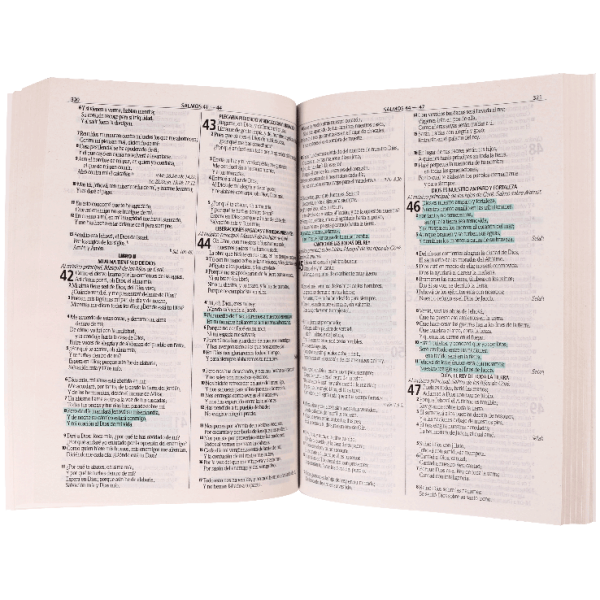 Biblia RVR60 Misionera Rustica Económica Fuente de Bendiciones - Image 3