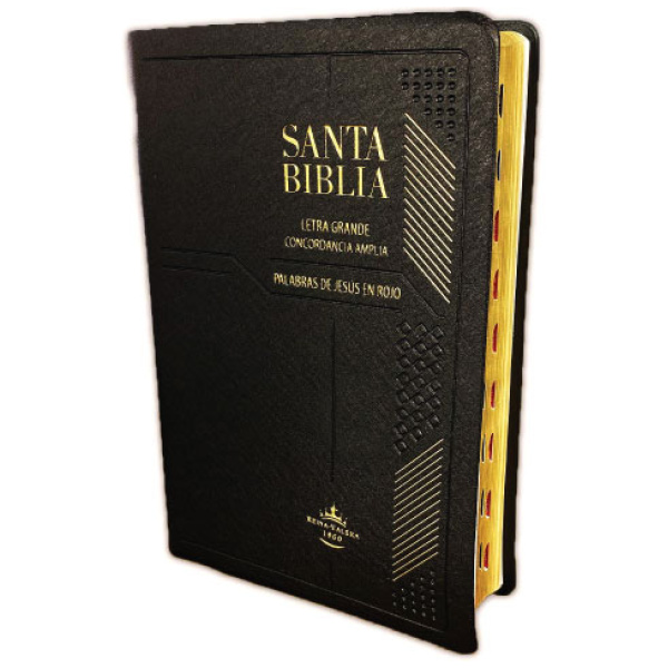 Biblia Reina Valera 1960 Letra Grande Negro Vinil