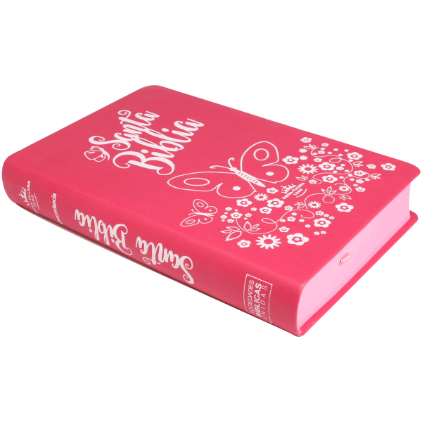 Biblia con Letra Grande Concordancia Amplia RV1960 - Image 2