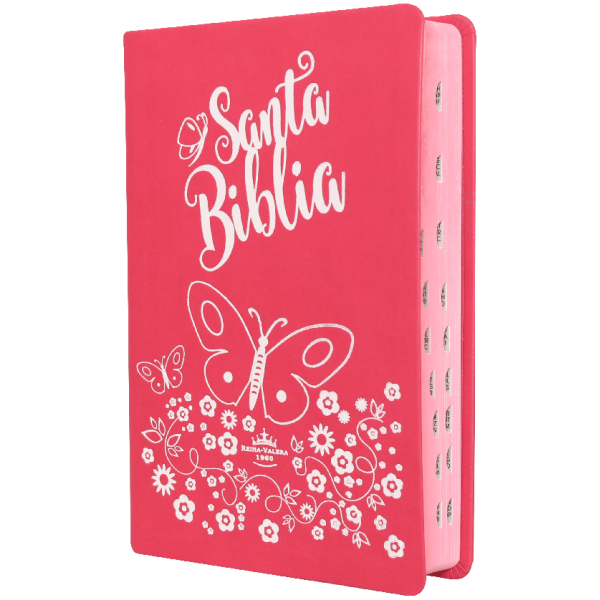 Biblia con Letra Grande Concordancia Amplia RV1960