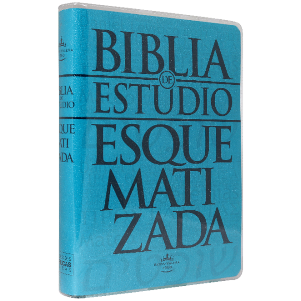Biblia Esquematizada RVR 1960 Flexible