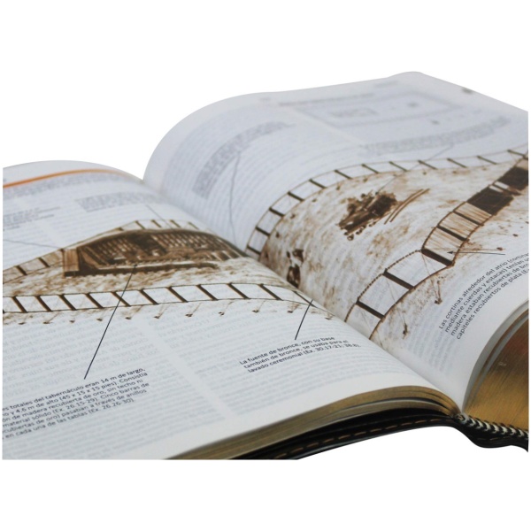 Biblia Rvr60 De Estudio Teológico Rvr086clgeeti - Image 3
