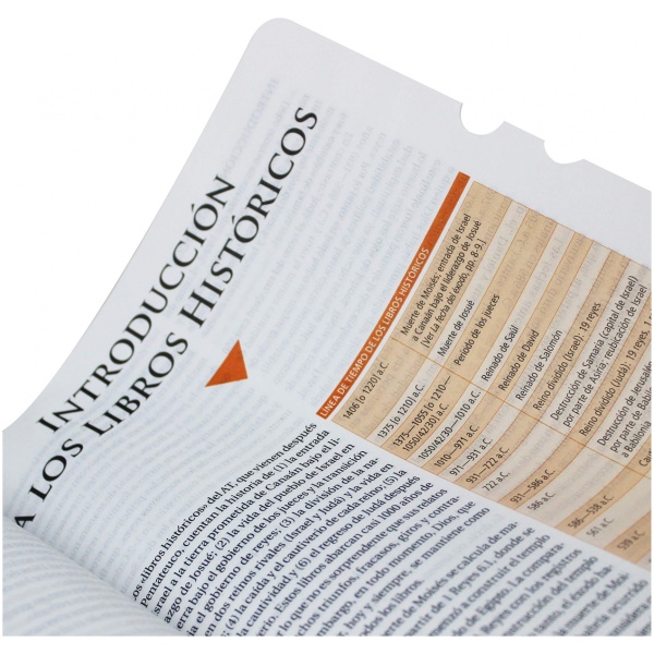 Biblia de Estudio Teológico RVR60 cuero legítimo - Image 3