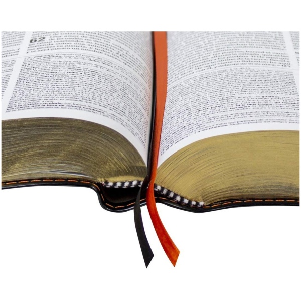 Biblia Rvr60 De Estudio Teológico Rvr086clgeeti - Image 4