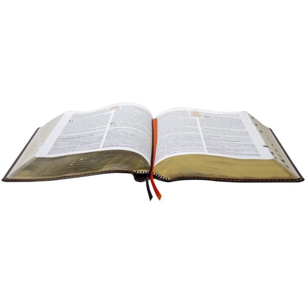 Biblia Rvr60 De Estudio Teológico Rvr086clgeeti - Image 5