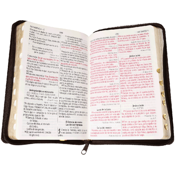 Biblia RVR1960 Piel fabricada León Café RVR066cLGPJRTIZ - Image 4