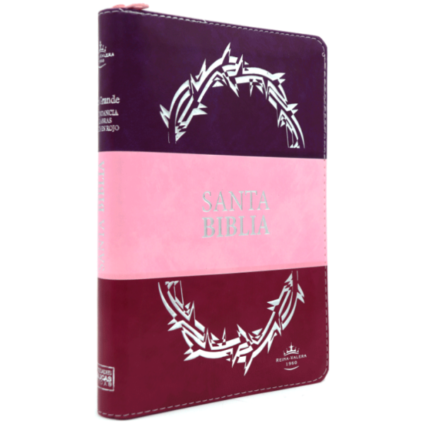 Biblia RVR1960 Letra Grande índice Para Mujer