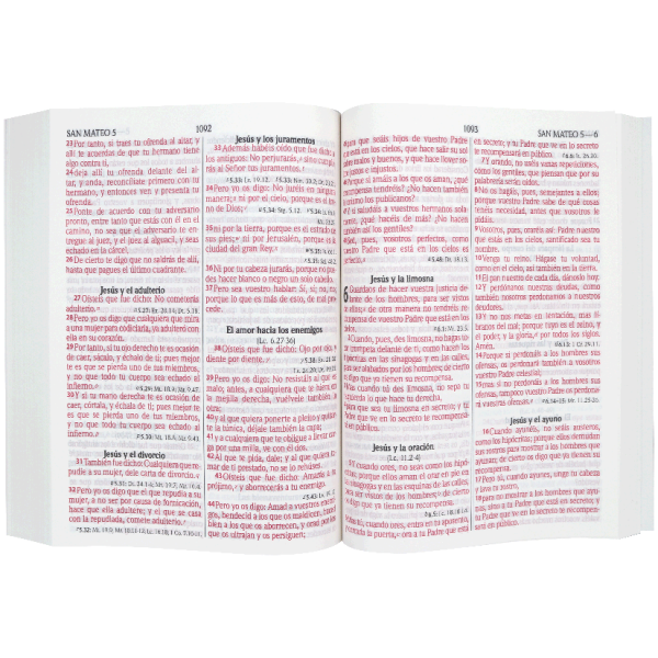 Biblia RVR1960 Grande Letra Gigante Rústica Negro Marrón - Image 2