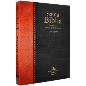 Biblia RVR1960 Grande Letra Gigante Rústica Negro Marrón