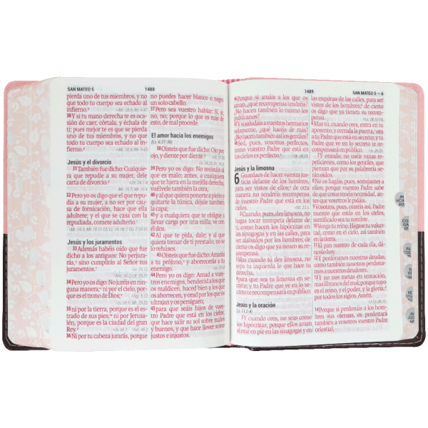 Biblia RVR 1960 Letra 11 pt Rosa Canto Floreado RVR046cLSGiPJRTI - Image 3