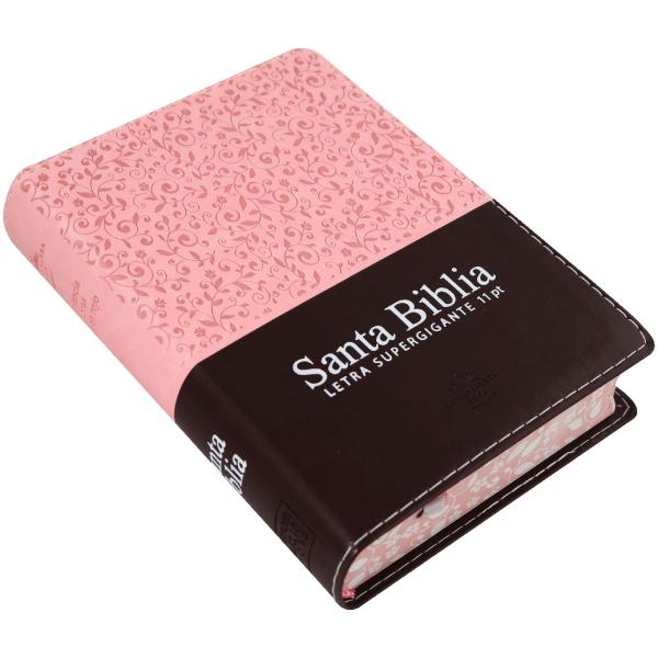 Biblia RVR 1960 Letra 11 pt Rosa Canto Floreado RVR046cLSGiPJRTI - Image 9