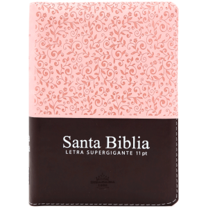 Biblia RVR 1960 Letra 11 pt Rosa Canto Floreado RVR046cLSGiPJRTI
