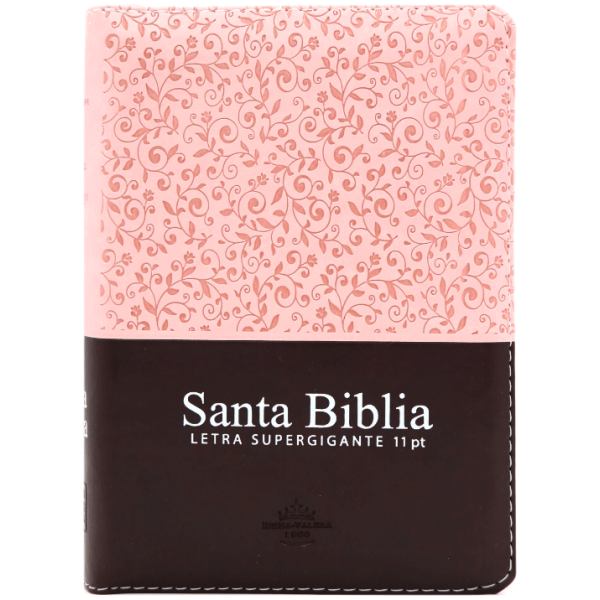 Biblia RVR 1960 Letra 11 pt Rosa Canto Floreado RVR046cLSGiPJRTI