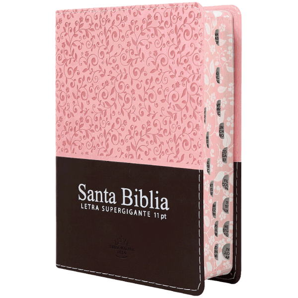 Biblia RVR 1960 Letra 11 pt Rosa Canto Floreado RVR046cLSGiPJRTI - Image 6