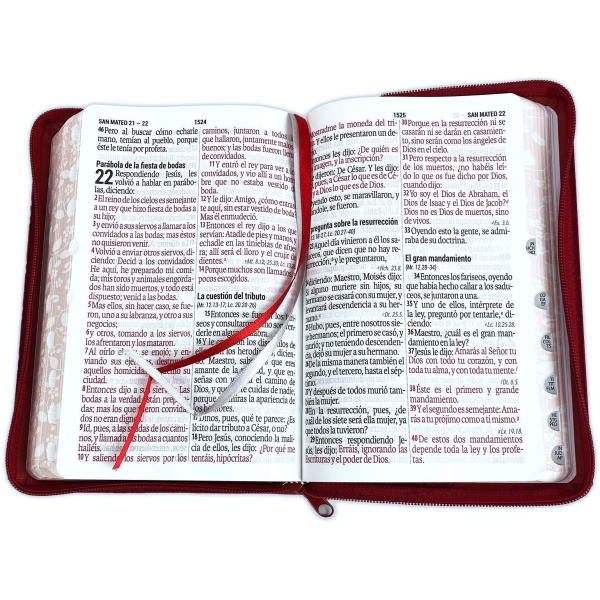Biblia RV1960 Manual Letra Gigante Cierre vino 14pt índice - Image 2
