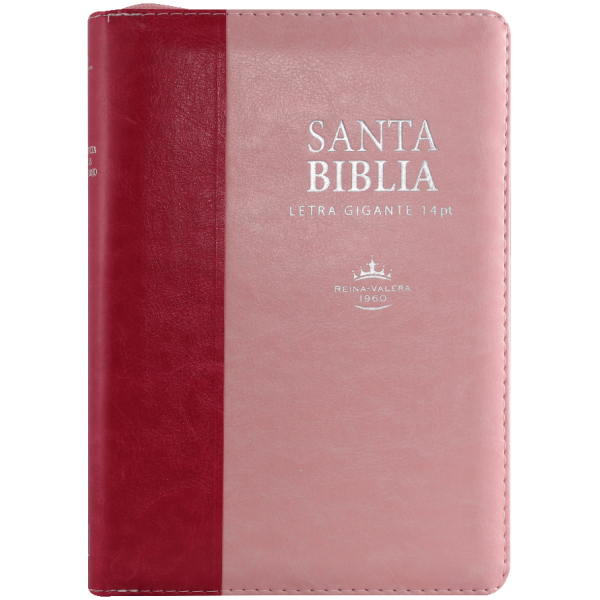Biblia RVR1960 mediana rosa y rosa cierre índice RVR066cLSGiPJRZTI - Image 3
