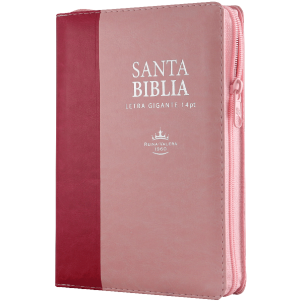 Biblia RVR1960 mediana rosa y rosa cierre índice RVR066cLSGiPJRZTI