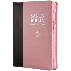 Biblia RVR1960 mediana rosa y marron cierre índice RVR066cLSGiPJRZTI