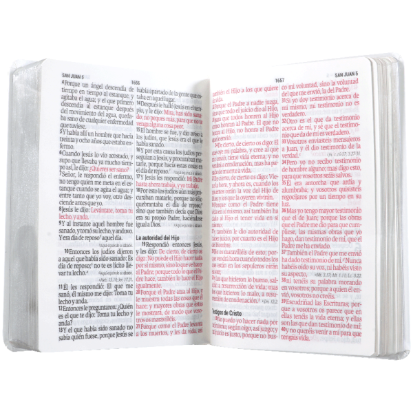 Biblia RVR1960 boda blanco 14P RVR066cLSGiPJR - Image 2