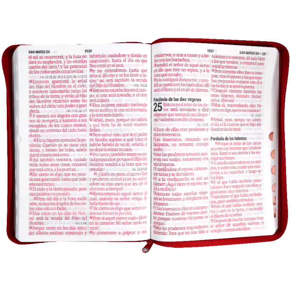 Biblia RVR1960 Letra Supergigante Rojo - Image 2